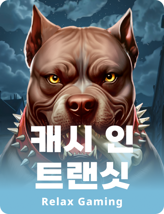 캐시 인 트랜짓