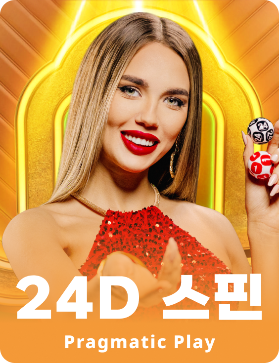 24D 스핀