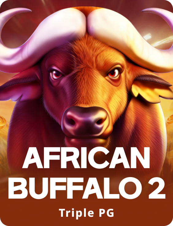 African Buffalo 2