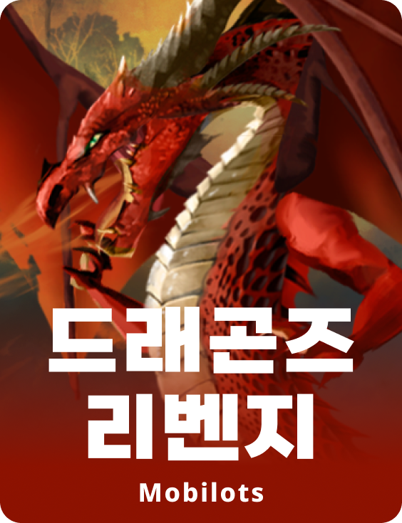 드래곤즈 리벤지