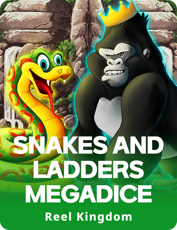 Snakes and Ladders Megadice 