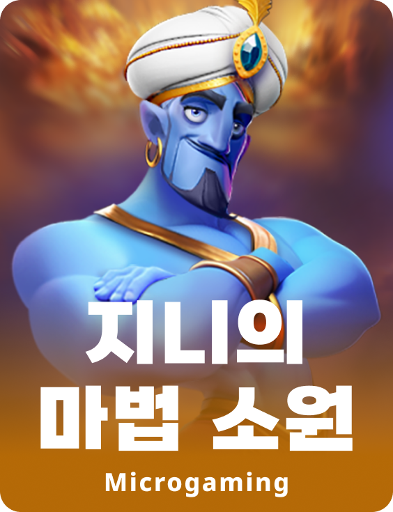 지니의 마법의 소원