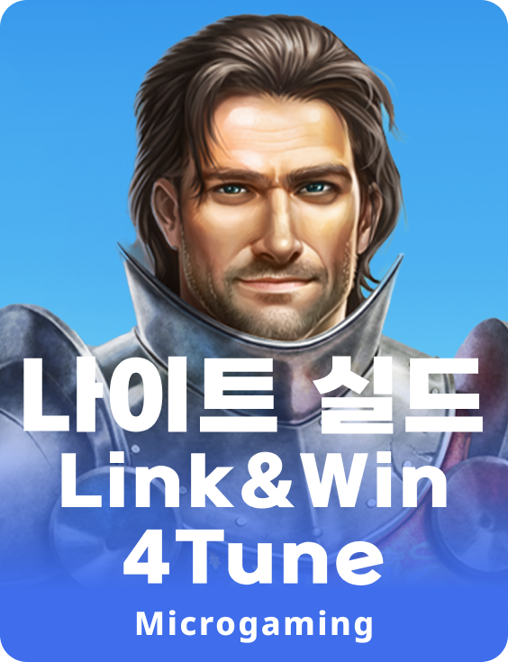 나이츠 쉴드 링크 앤 윈 4튠