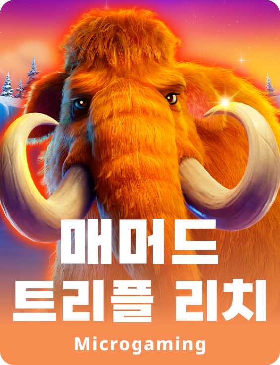 매머드 트리플 리치