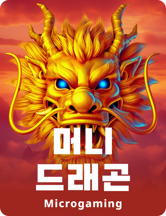 머니 드래곤