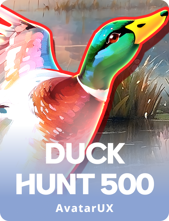 Duck Hunt 500