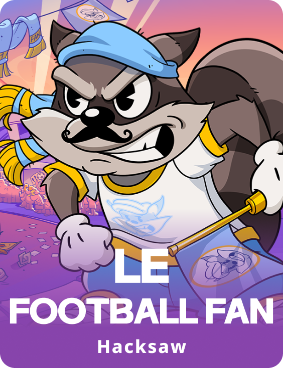 Le Football Fan