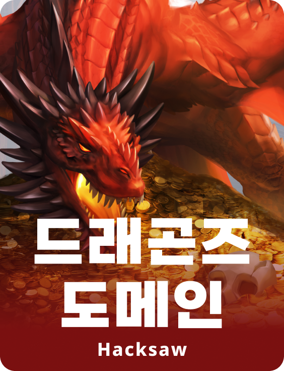 드래곤즈 도메인