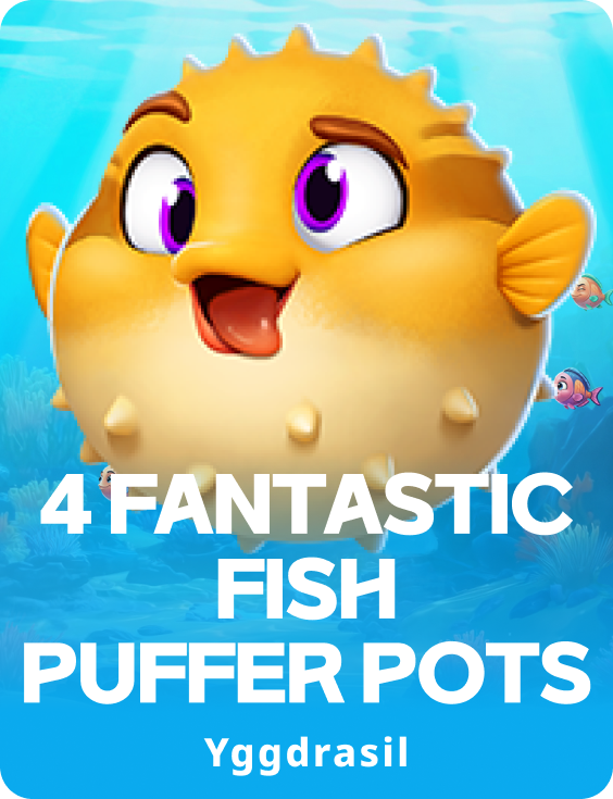 4 Fantastic Fish Puffer Pots