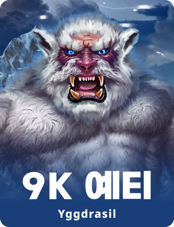 9k 예티