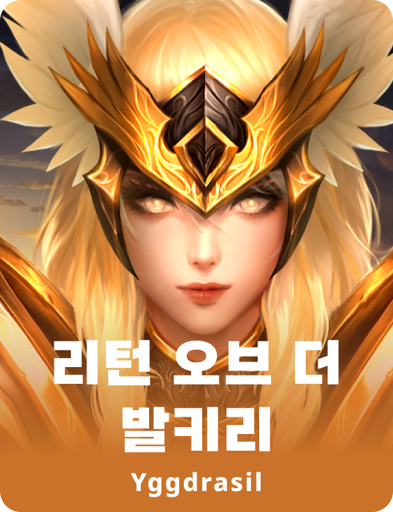 리턴 오브 더 발키리