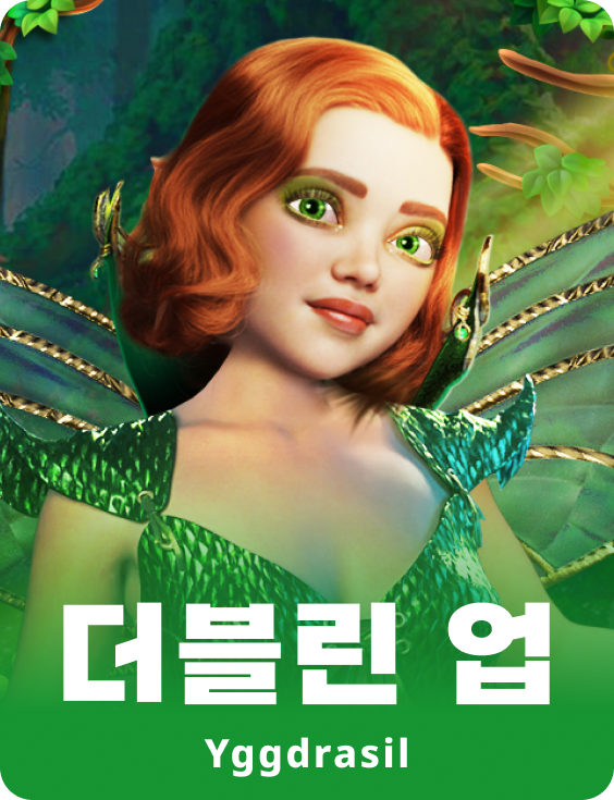 더블린 업