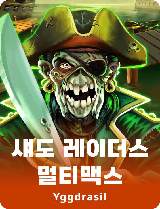 쉐도우 레이더스 멀티맥스