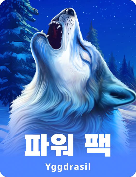 파워 팩