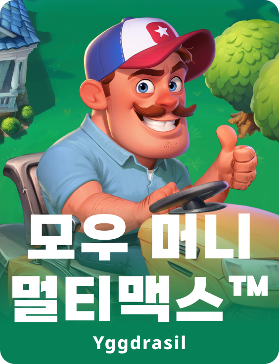 모우 머니 멀티맥스™