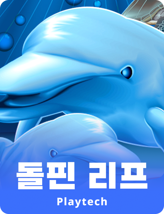 돌핀 리프