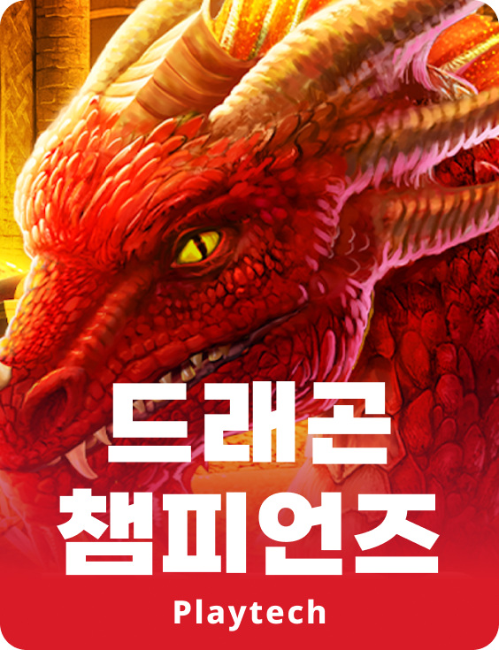 드래곤 챔피언스