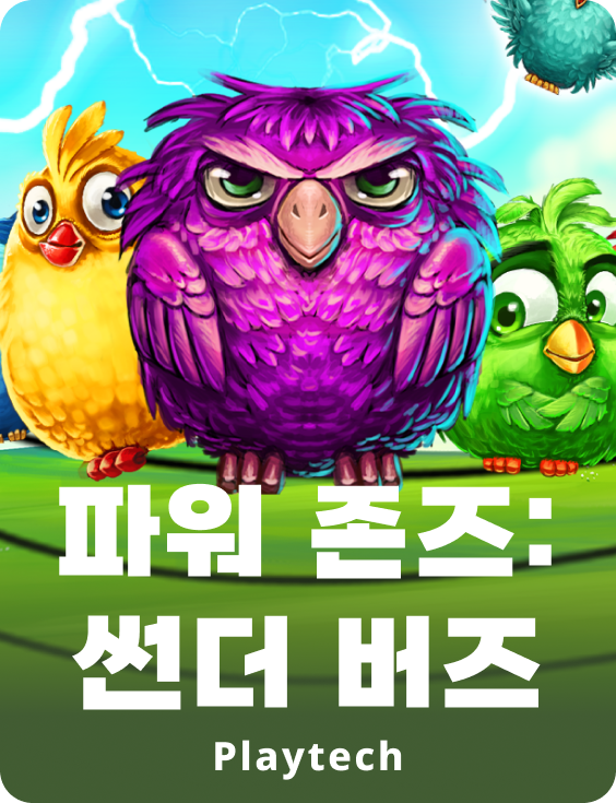 파워 존스™: 썬더 버드즈