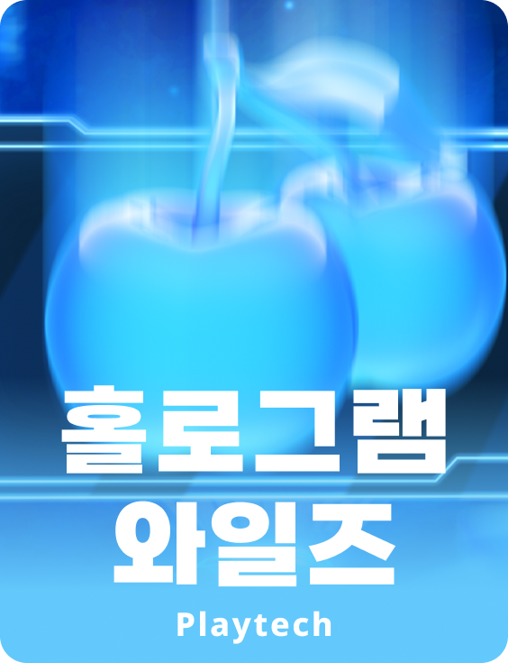 홀로그램 와일즈