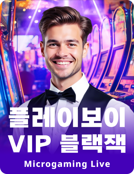 플레이보이 VIP 블랙잭