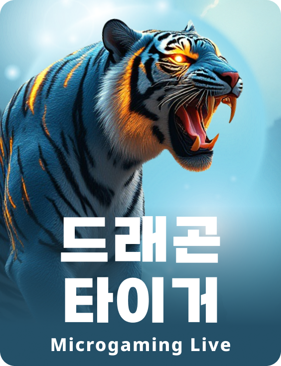드래곤 타이거