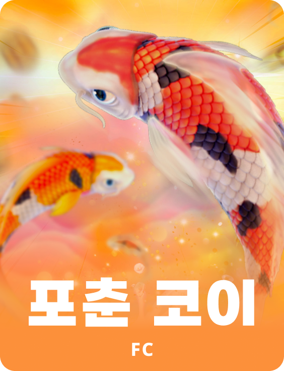 포츈 코이