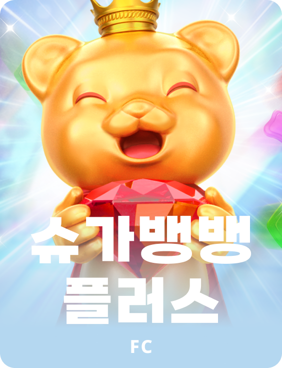 슈가뱅뱅 플러스