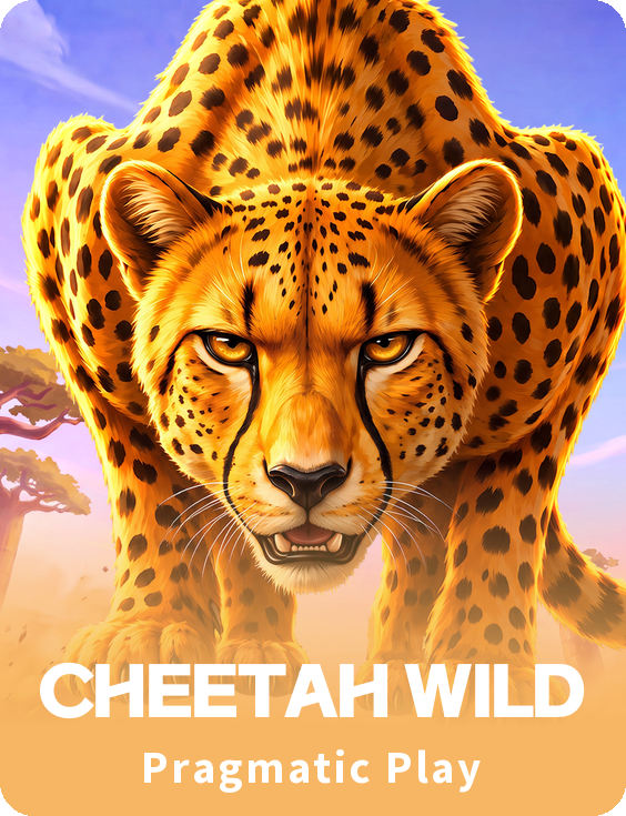 Cheetah Wild