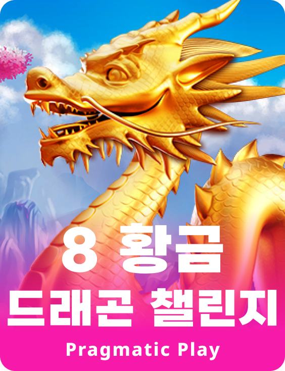 8 황금 드래곤 챌린지