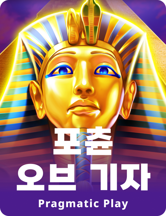 포츈 오브 기자