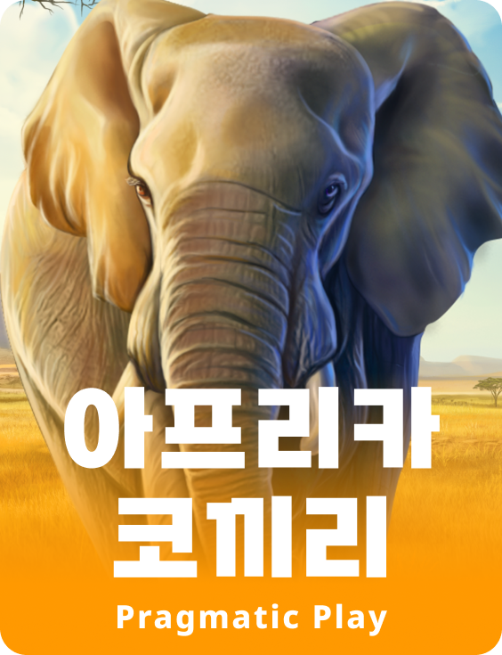 아프리카 코끼리