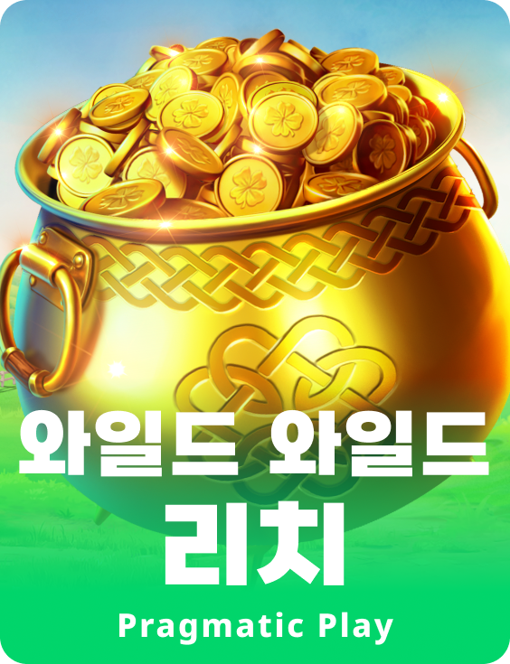 와일드 와일드 리치