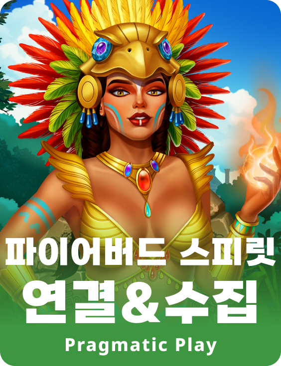 파이어버드 스피릿 연결& 수집