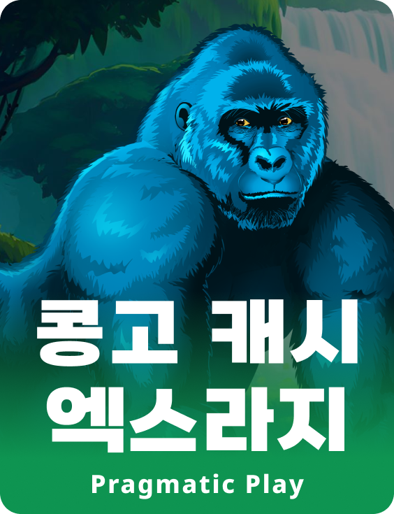 콩고 캐시 엑스라지
