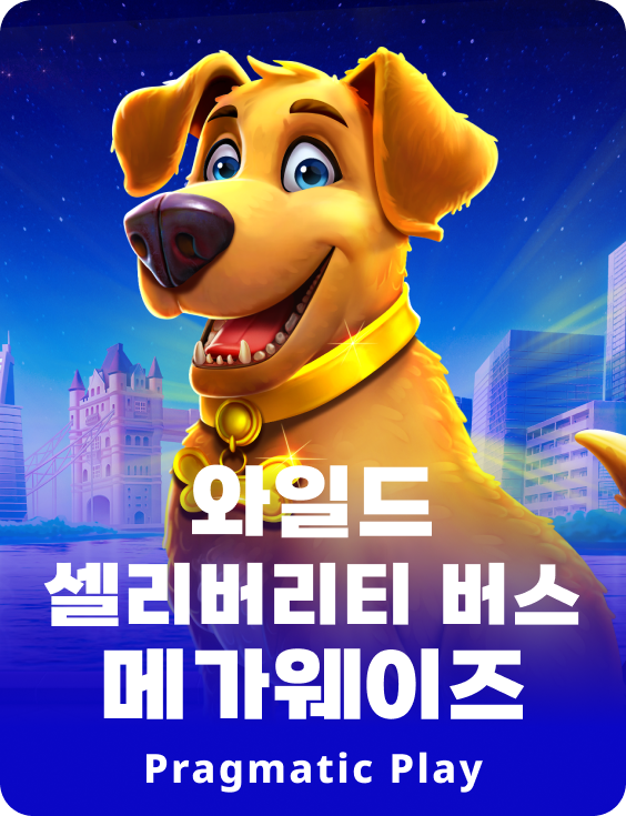 와일드 셀리버리티 버스 메가웨이즈