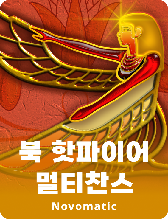 핫파이어 멀티찬스 책