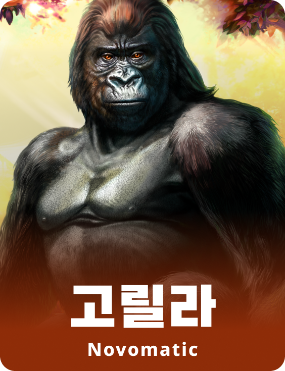 고릴라