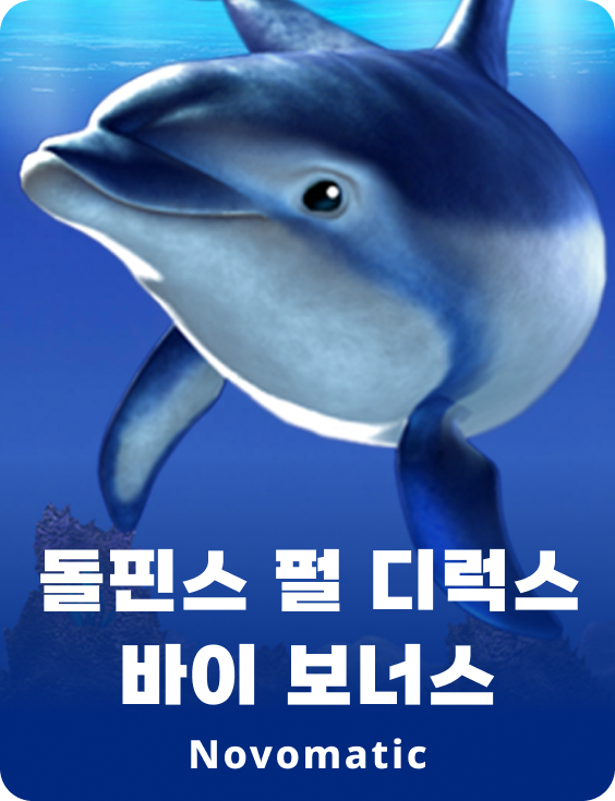 돌핀스 펄 디럭스 바이 보너스