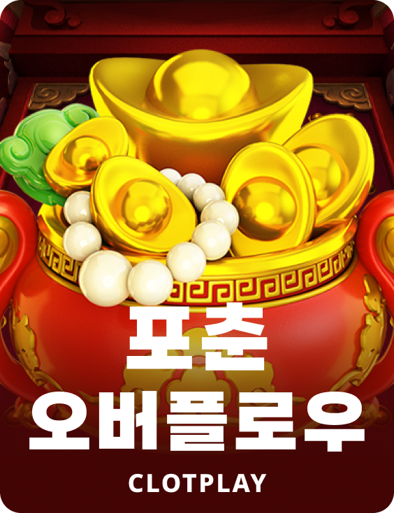 포춘 오버플로우