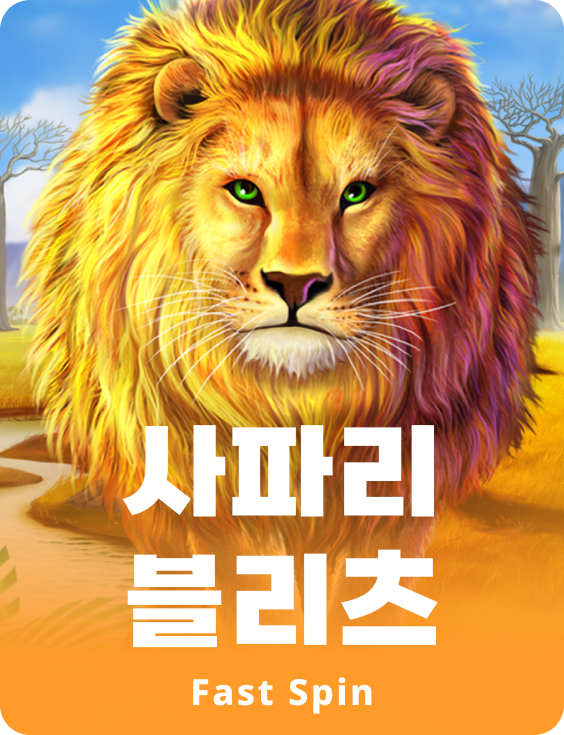 사파리 블리츠
