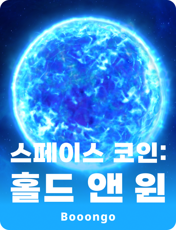 스페이스 코인: 홀드 앤 윈